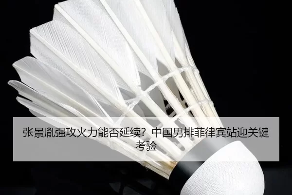 zhang-jing-yin-qiang-gong-huo-li-neng-fou-yan-xu-zhong-guo-nan-pai-fei-lv-bin-zhan-ying-guan-jian-kao-yan-2-171.jpg